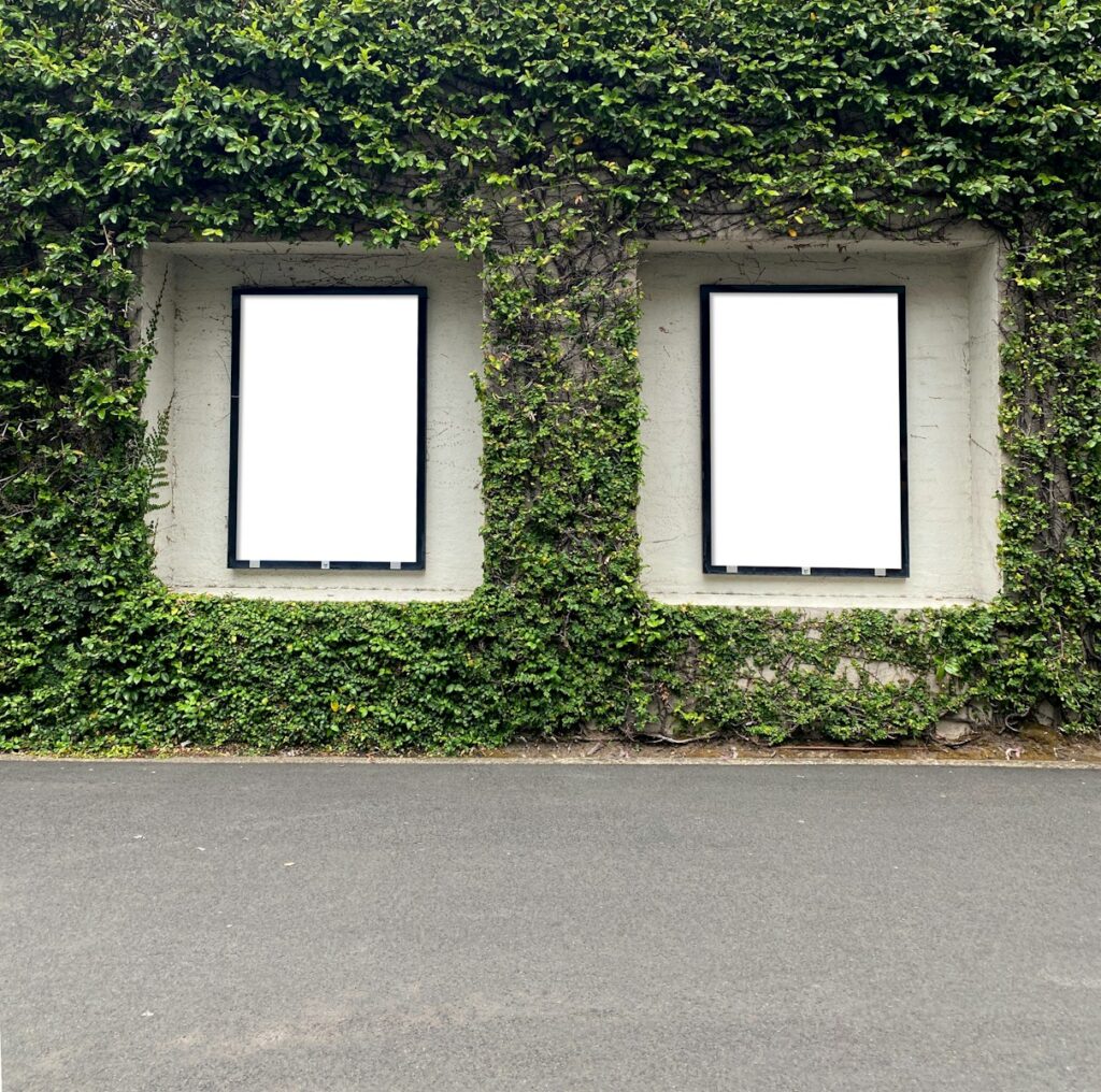 two empty billboards in front of a wall covered in ivy